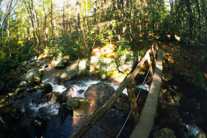 Lower Mt. Cammerer Trail